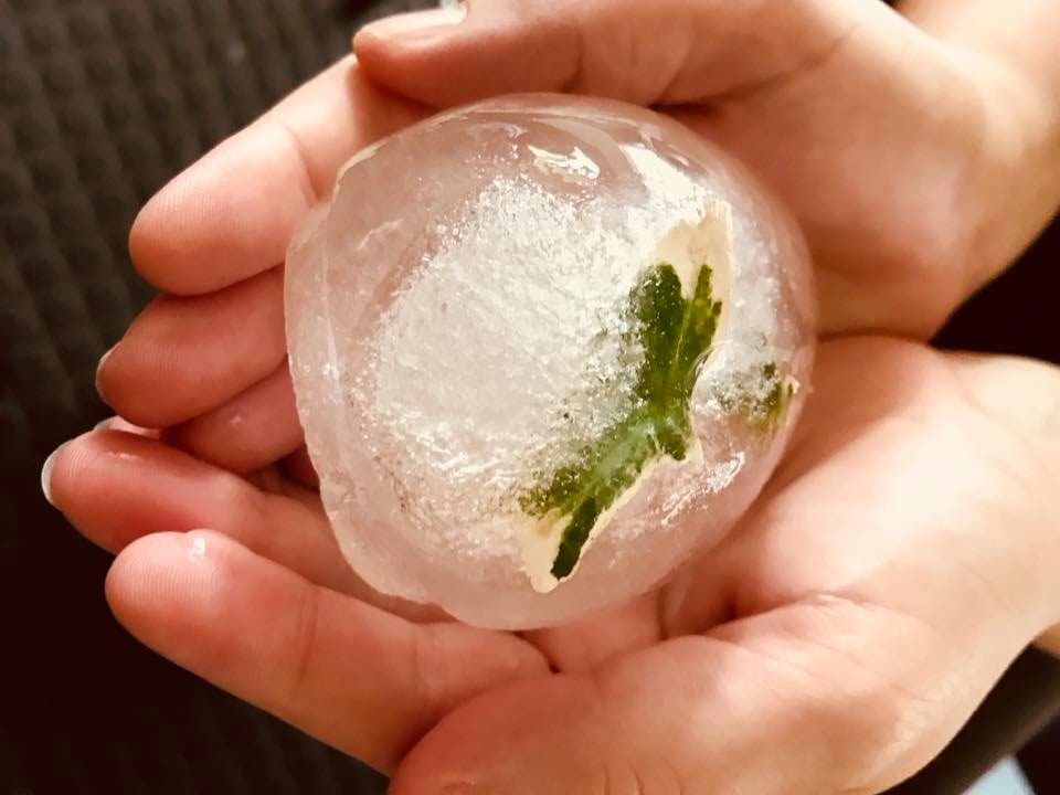 Eine Eiskugel mit einem eingeforenen Blatt innen drin wird vorsichtig von zwei Händen gehalten. A ball of ice with a frozen plant inside hold carefully by too hands.